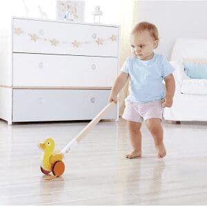 HAPE Bird Pull Along